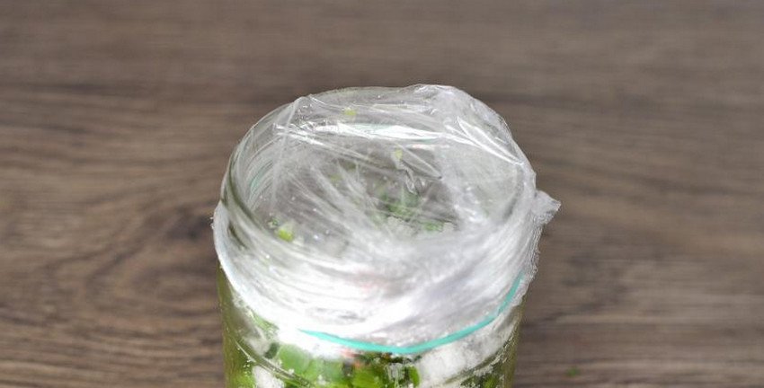 Зелена цибуля на зиму Зелена цибуля на зиму