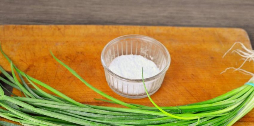 Цибуля і сіль Цибуля і сіль