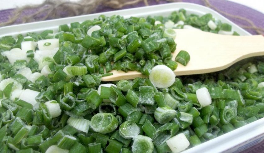 Солона зелена цибуля Солона зелена цибуля