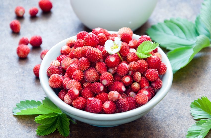 Полуниця стала менш доступною для росіян Полуниця стала менш доступною для росіян