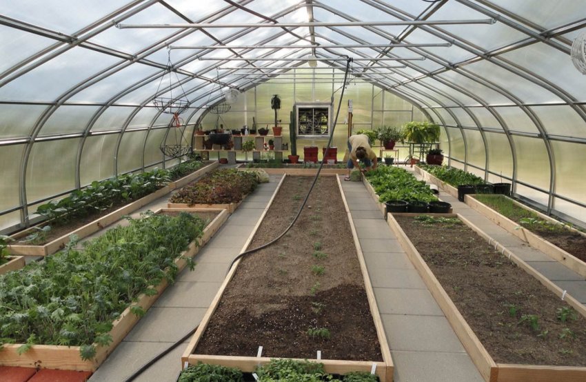 Житловий квартал у Москві забезпечили вертикальними теплицями