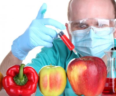 Боснія і Герцеговина стала першою країною в регіоні прийняла стандарти «без ГМО»