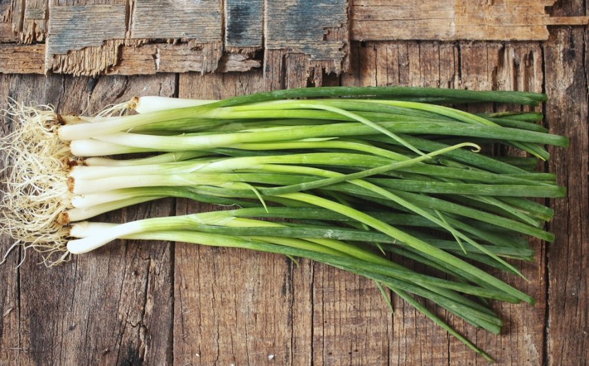 Зелена цибуля