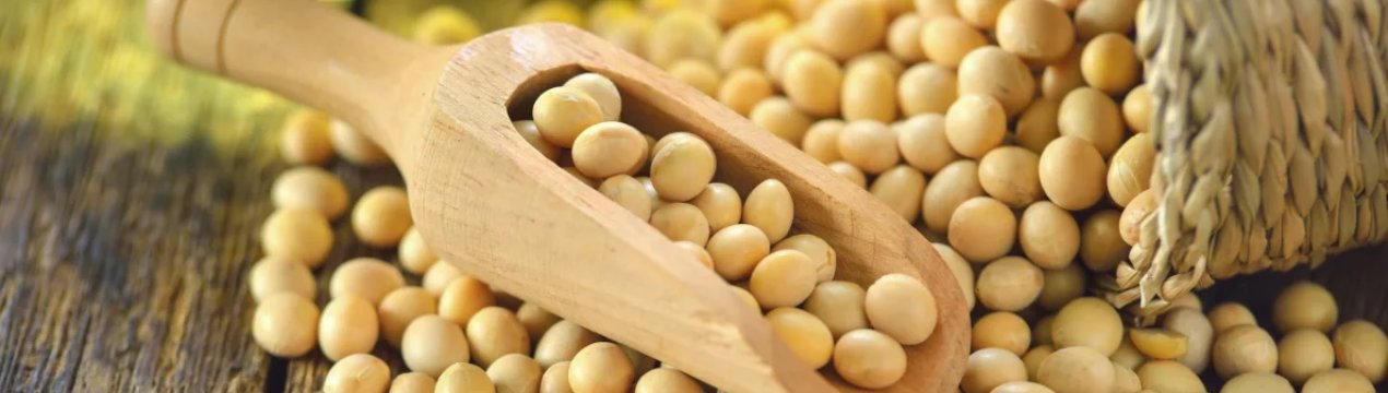 В Індії збираються розширювати посівні площі під сою