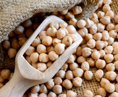 Технологія посіву та вирощування нуту, як вирощувати на дачі, в домашніх умовах на підвіконні