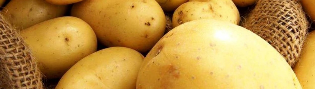 У Північній Ірландії діти взяли участь у «картопляному проекті»