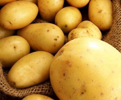 У Північній Ірландії діти взяли участь у «картопляному проекті»