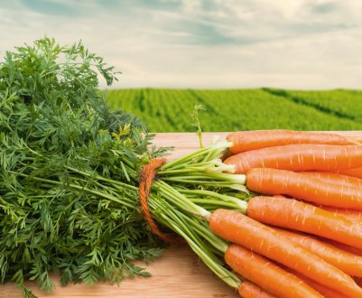 Експерти заявили про дефіцит моркви в Україні