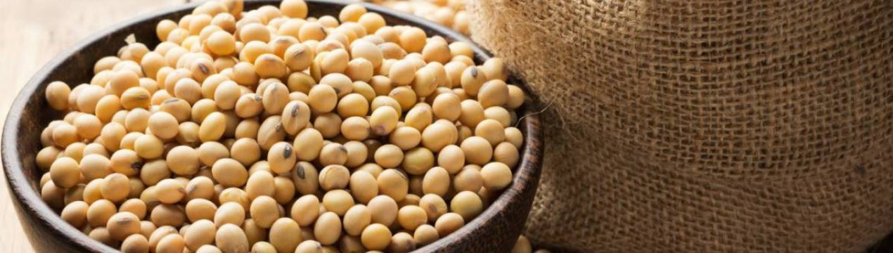 Трамп готує новий раунд допомоги фермерам, що постраждали від торговельної війни з Китаєм