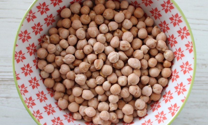 Нут сорти Радгоспну Нут сорти Радгоспну