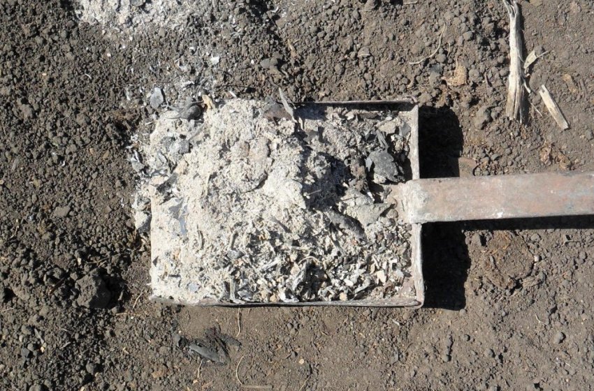 Добриво грунту золою Добриво грунту золою