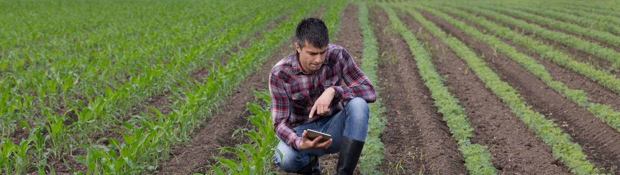 Банкрутства бразильських зернових фермерів дуже «напружують» глобальних трейдерів
