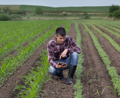 Банкрутства бразильських зернових фермерів дуже «напружують» глобальних трейдерів