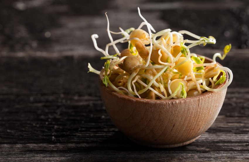 Корисні властивості сочевиці