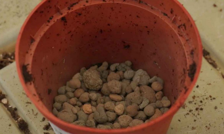 Дренаж в горщику Дренаж в горщику