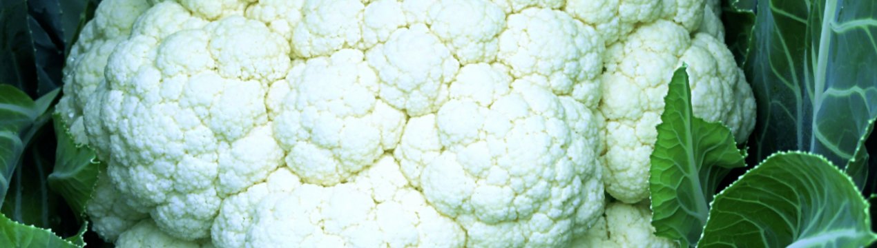 В Україні стрімко дешевшає кольорова капуста