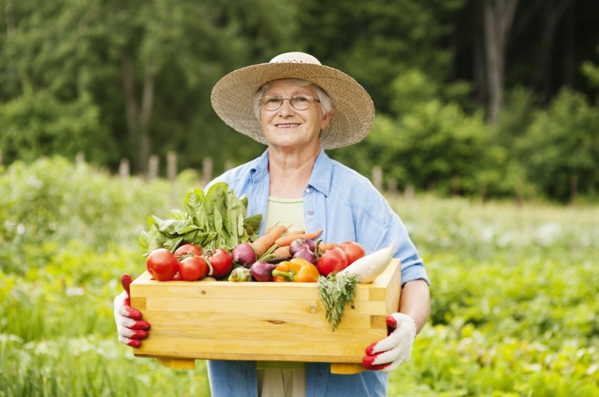 Права камчатських фермерів будуть оберігатися високими штрафами Права камчатських фермерів будуть оберігатися високими штрафами