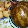 Арбуз квашеный кусочками