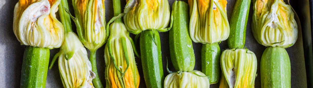 Наші терміни не для нудьги: пензенські засуджені збирають урожай кабачковий