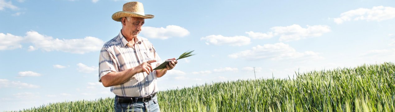 Ростовські аграрії підступають до фінішу яровому