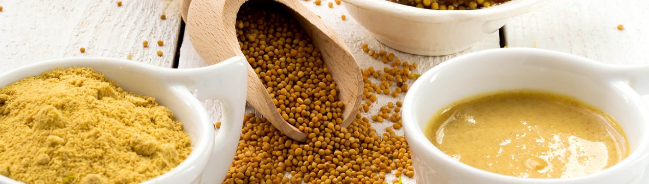 Українські аграрії експортують 90% всієї вирощеної гірчиці