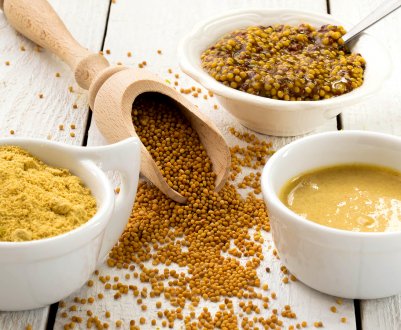 Українські аграрії експортують 90% всієї вирощеної гірчиці