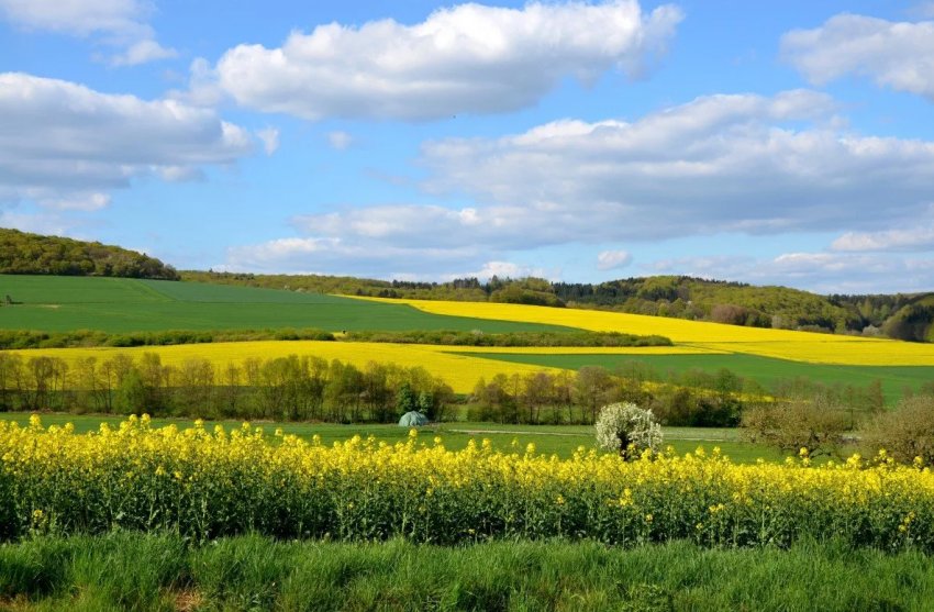 На Закарпатті підтоплено 870 га сільгоспугідь