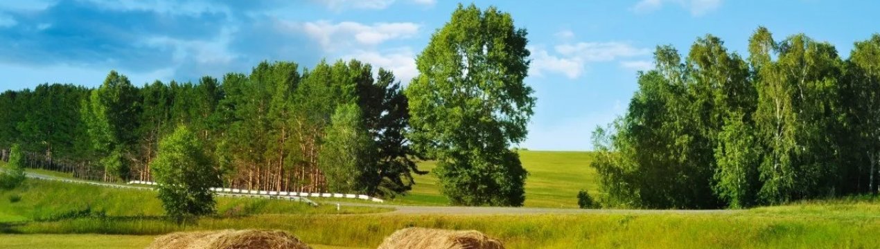 На Закарпатті підтоплено 870 га сільгоспугідь