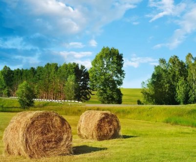 На Закарпатті підтоплено 870 га сільгоспугідь