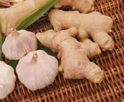 Як правильно вживати напій з імбиру і часнику для схуднення