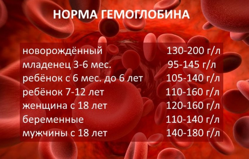 Норма гемоглобина