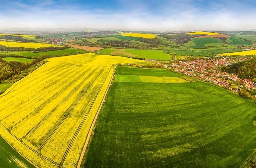 Провідна сільськогосподарська організація Уельсу запланувала заходи для фермерів-орендарів