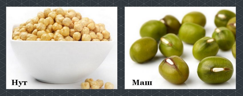 Нут і маш Нут і маш