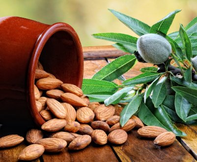 Після анексії Криму Росія привласнила собі українські сорти мигдалю