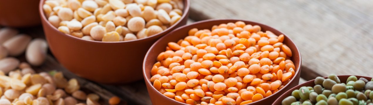 Чим шкідлива і корисна сочевиця