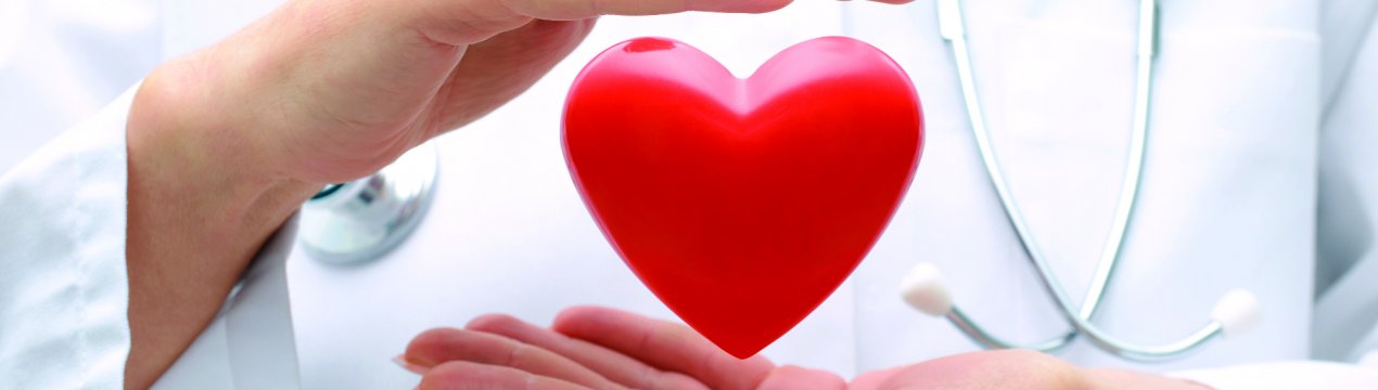 Корінь імбиру при серцево-судинних захворюваннях: як діє, користь і шкода