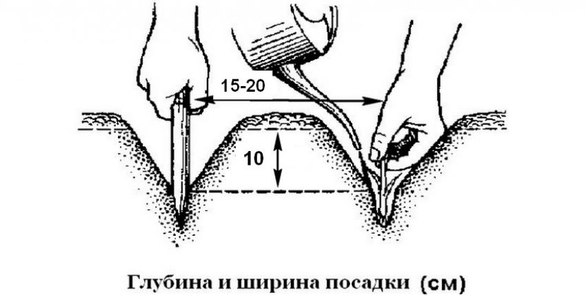 Схема посадки