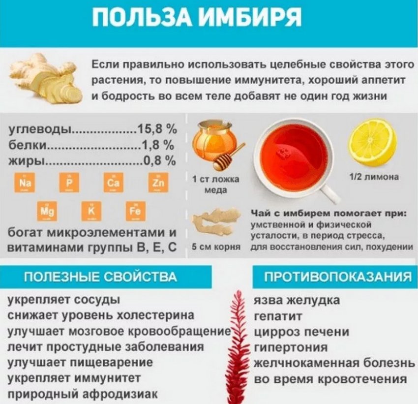 Зимняя смесь для повышения иммунитета – имбирь, мед, лимон и перец - webmaster-korolev.ru