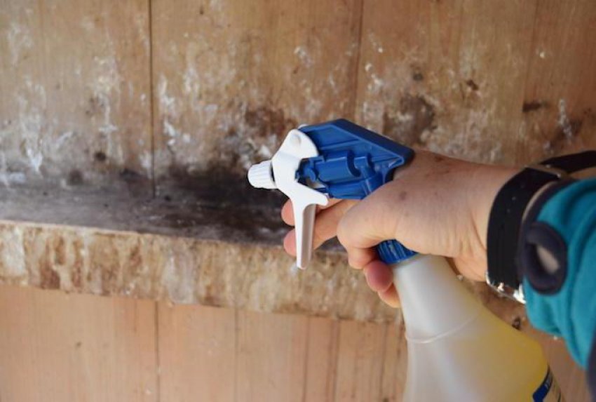 Дезінфекція пташника Дезінфекція пташника