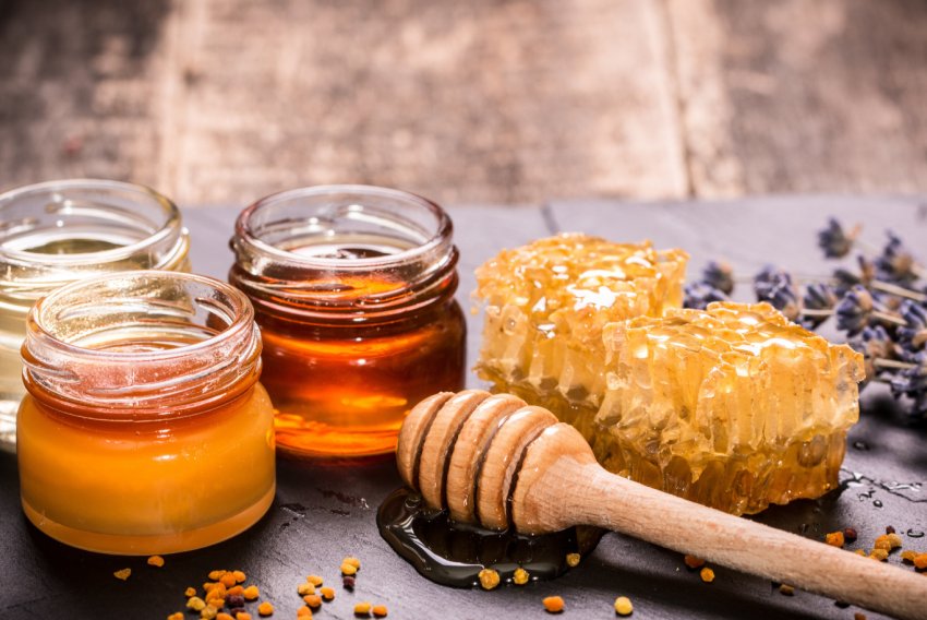 Україна покинула трійку лідерів світових експортерів меду із-за масової загибелі бджіл Україна покинула трійку лідерів світових експортерів меду із-за масової загибелі бджіл