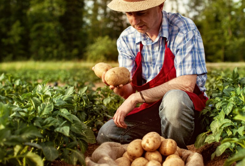 В Україні розгортаються мобільні центри з підтримки фермерів