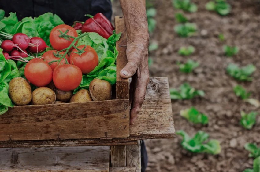 В Україні розгортаються мобільні центри з підтримки фермерів