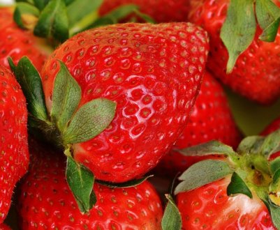 Мелітопольська полуниця пішла на експорт у Білорусь