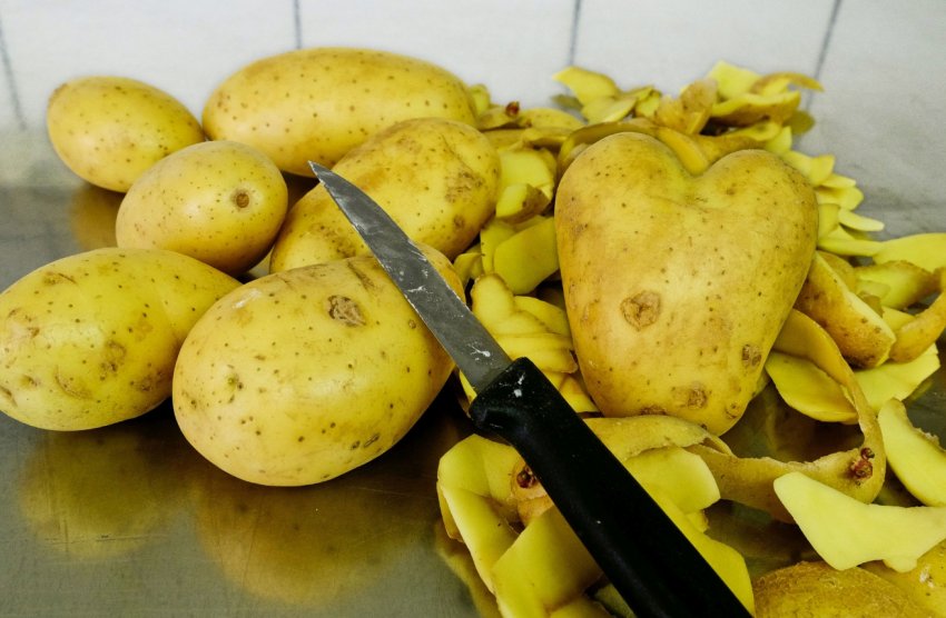 Ціни раннього картоплі в Україні впали до найнижчого рівня за 3 роки