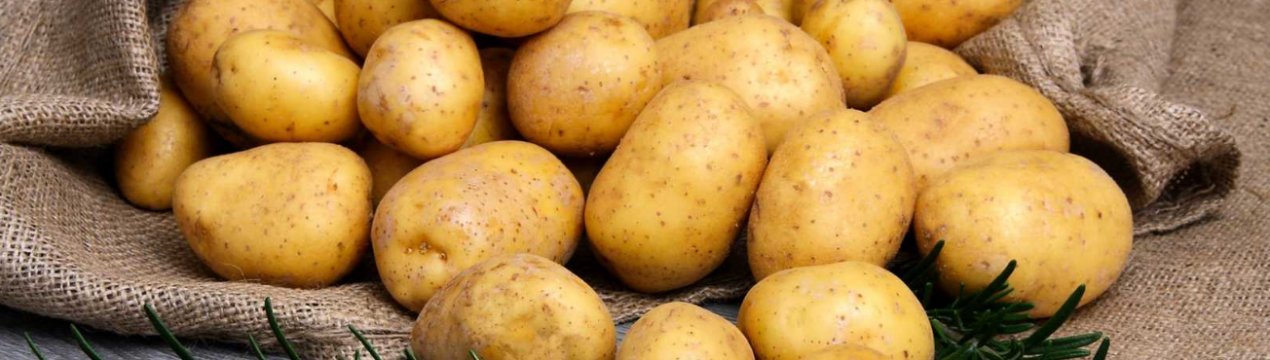 Ціни раннього картоплі в Україні впали до найнижчого рівня за 3 роки