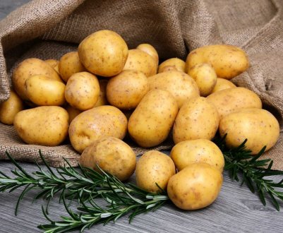 Ціни раннього картоплі в Україні впали до найнижчого рівня за 3 роки 