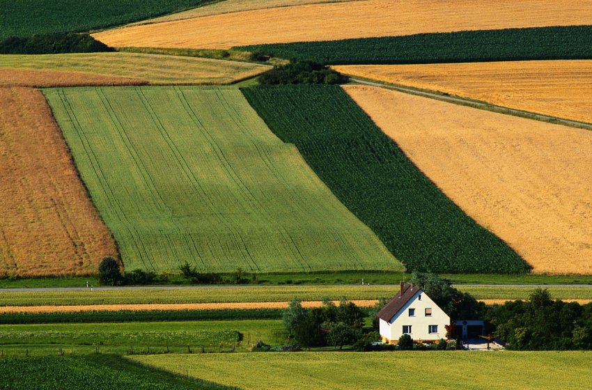 На Закарпатті підтоплено понад 2 тисяч гектарів сільгоспугідь і пасовищ