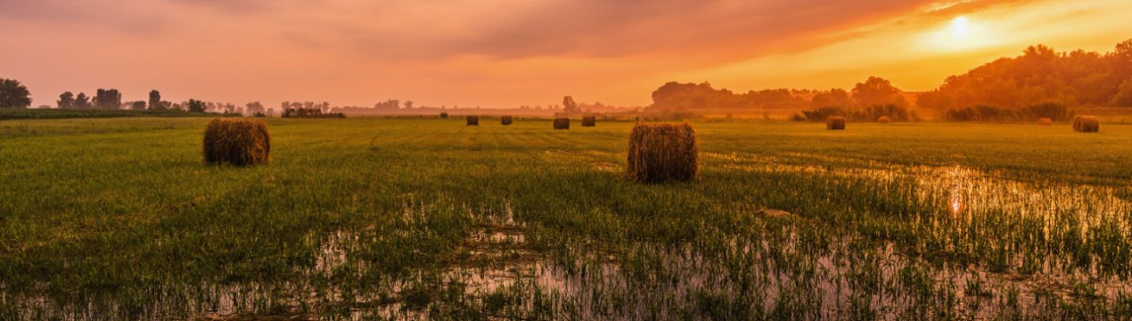 На Закарпатті підтоплено понад 2 тисяч гектарів сільгоспугідь і пасовищ