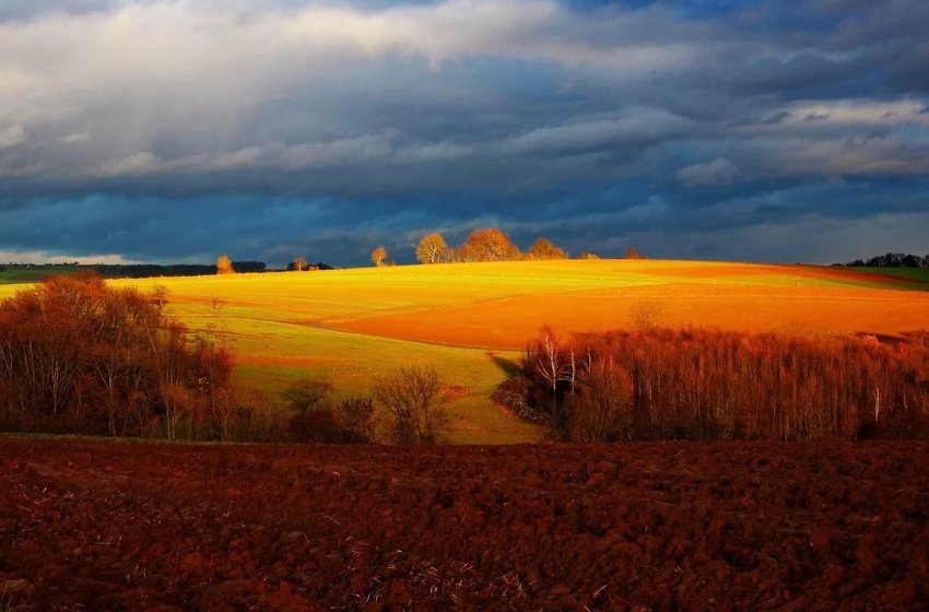 На Закарпатті підтоплено понад 2 тисяч гектарів сільгоспугідь і пасовищ