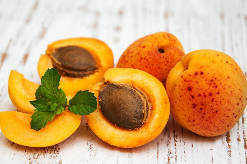 Інститут садівництва НААН попереджає про небезпеку ураження абрикосів гномониозом Інститут садівництва НААН попереджає про небезпеку ураження абрикосів гномониозом